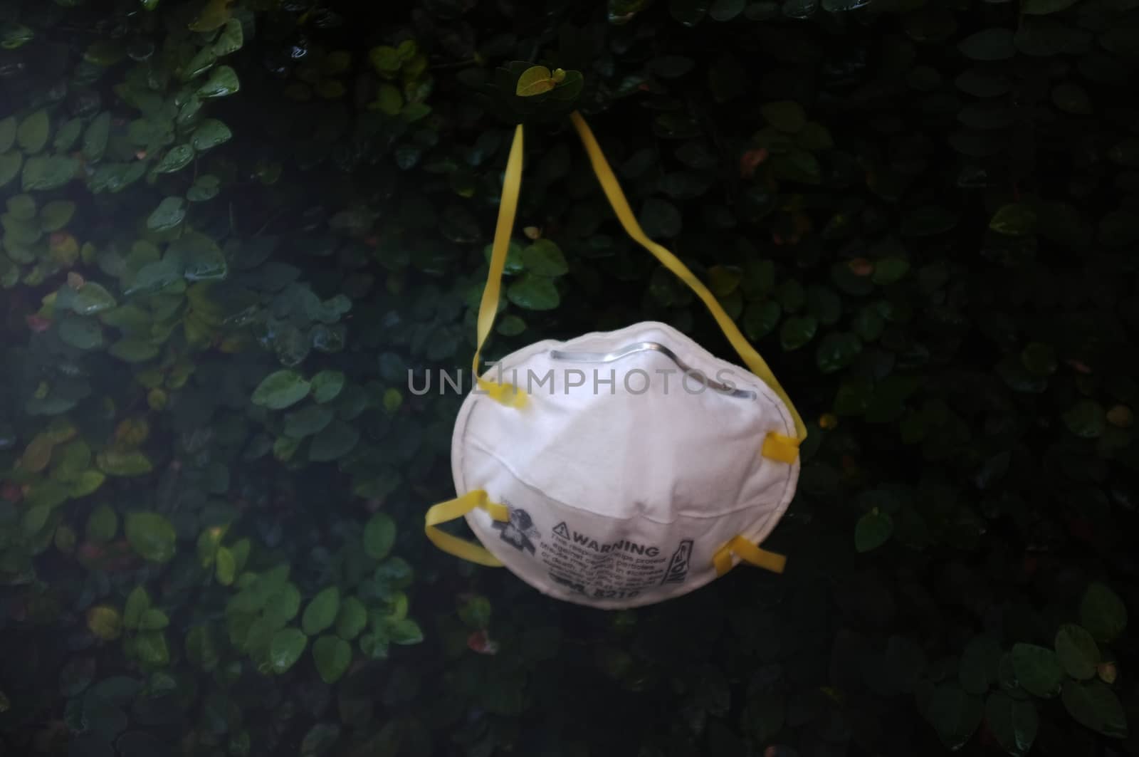 Bangkok, THAILAND - Mar 26, 2020 : N95 mask for protection against pollution, virus, flu and coronavirus (Covid-19). Protection pm 2.5. Air face mask. Medical Doctor mask on wall tree background. Copyspace for artwork . 