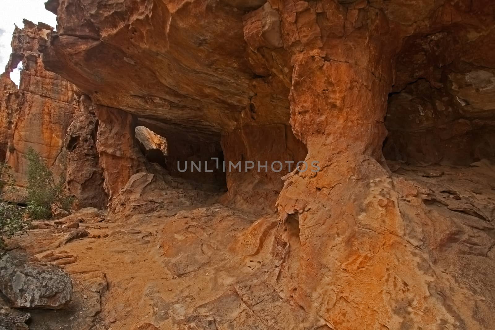 A scene of highly eroded sandstone formations in the Cederberg Wilderness Area, Western Cape. South Africa