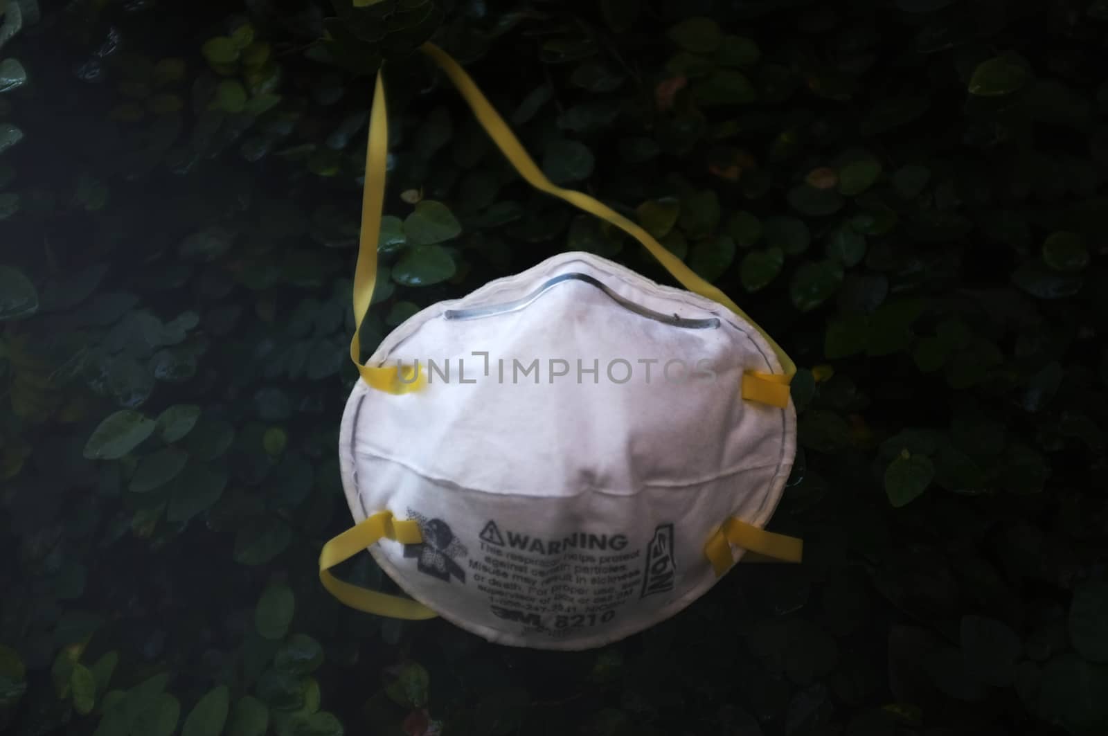 Bangkok, THAILAND - Mar 26, 2020 : N95 mask for protection against pollution, virus, flu and coronavirus (Covid-19). Protection pm 2.5. Air face mask. Medical Doctor mask on wall tree background. Copyspace for artwork . 