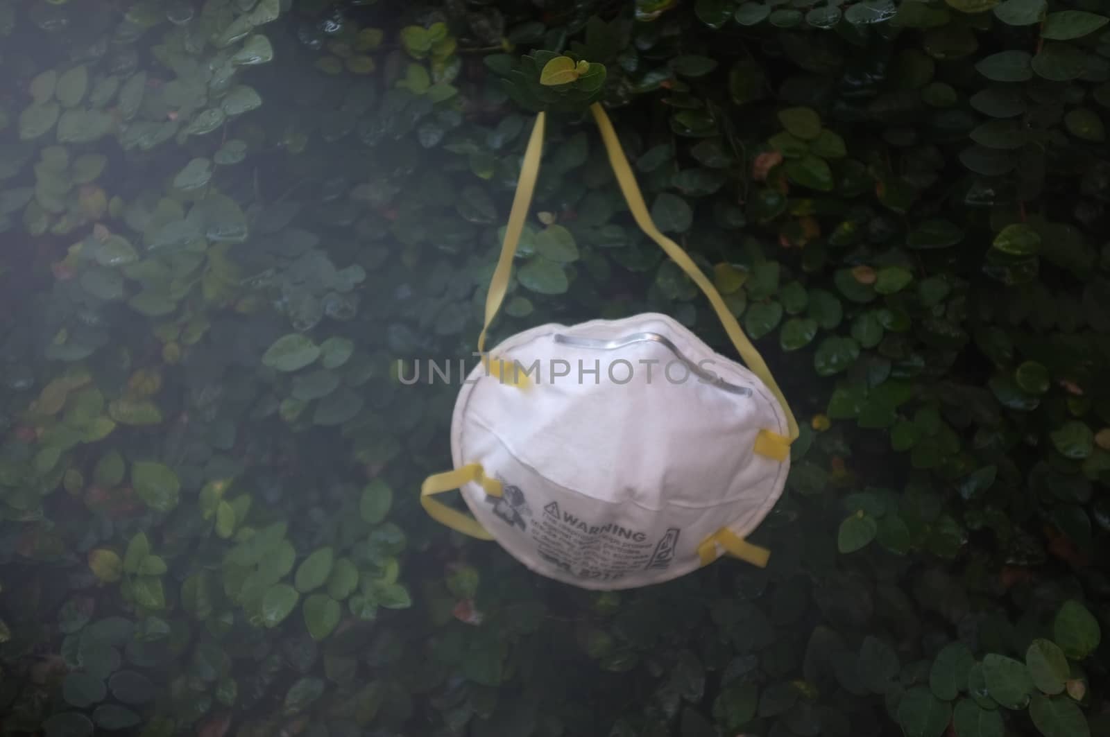 Bangkok, THAILAND - Mar 26, 2020 : N95 mask for protection against pollution, virus, flu and coronavirus (Covid-19). Protection pm 2.5. Air face mask. Medical Doctor mask on wall tree background. Copyspace for artwork . 
