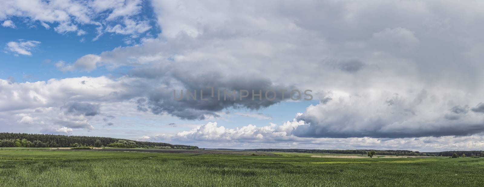 Panoramic view wheat fields under stunning sunset sky background. Beautiful sunset time in the countryside.