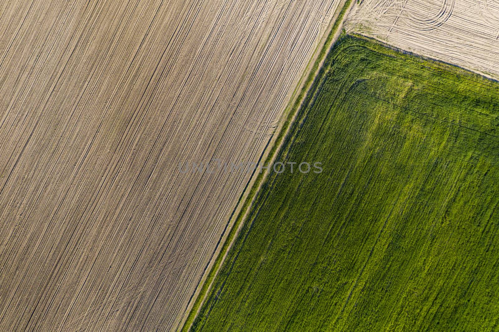 Crop and agriculture concept, top view drone flying over field countryside at sunny cloudy spring time. Wonderful aerial video for ecological concept, fla lay