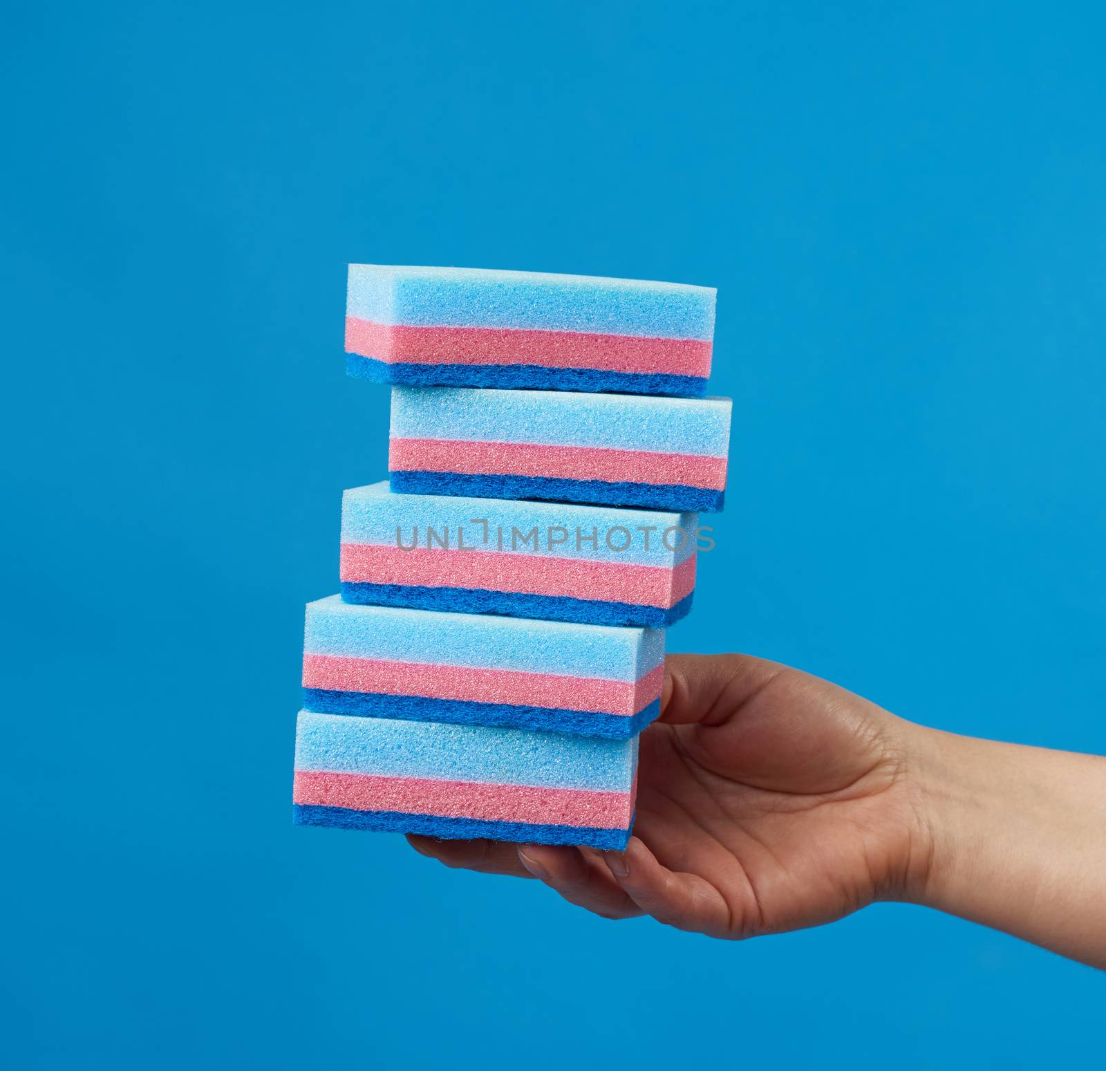 female hand holds blue stack kitchen sponges for washing dishes, part of the body on a blue background