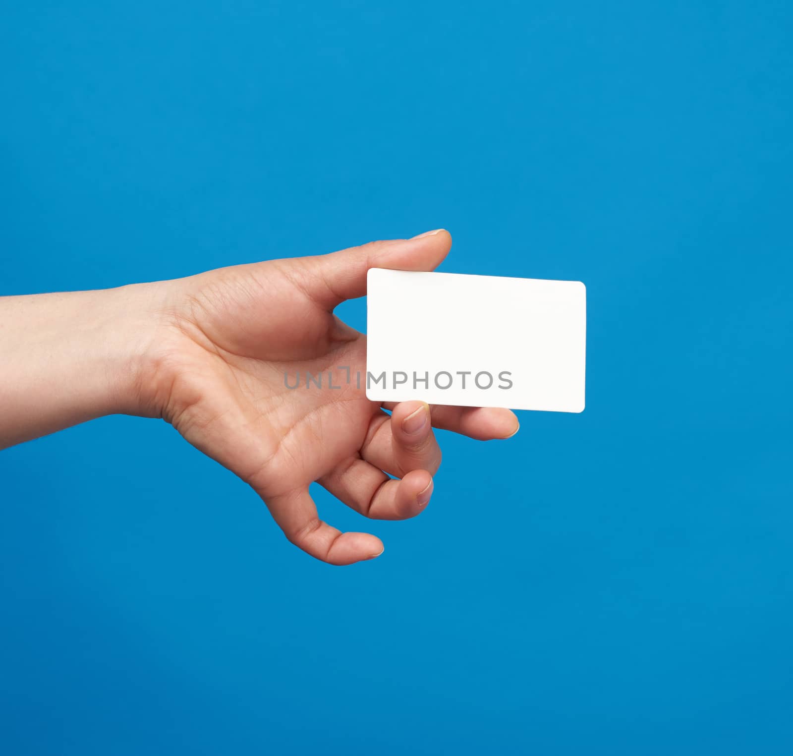 female hand holds a rectangular white paper blank business card on a blue background, close up