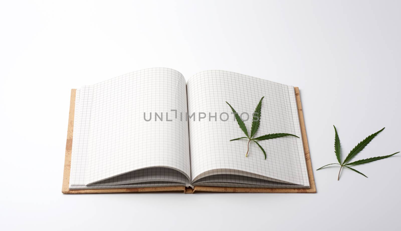 open notebook with blank white sheets and green hemp leaf, white background