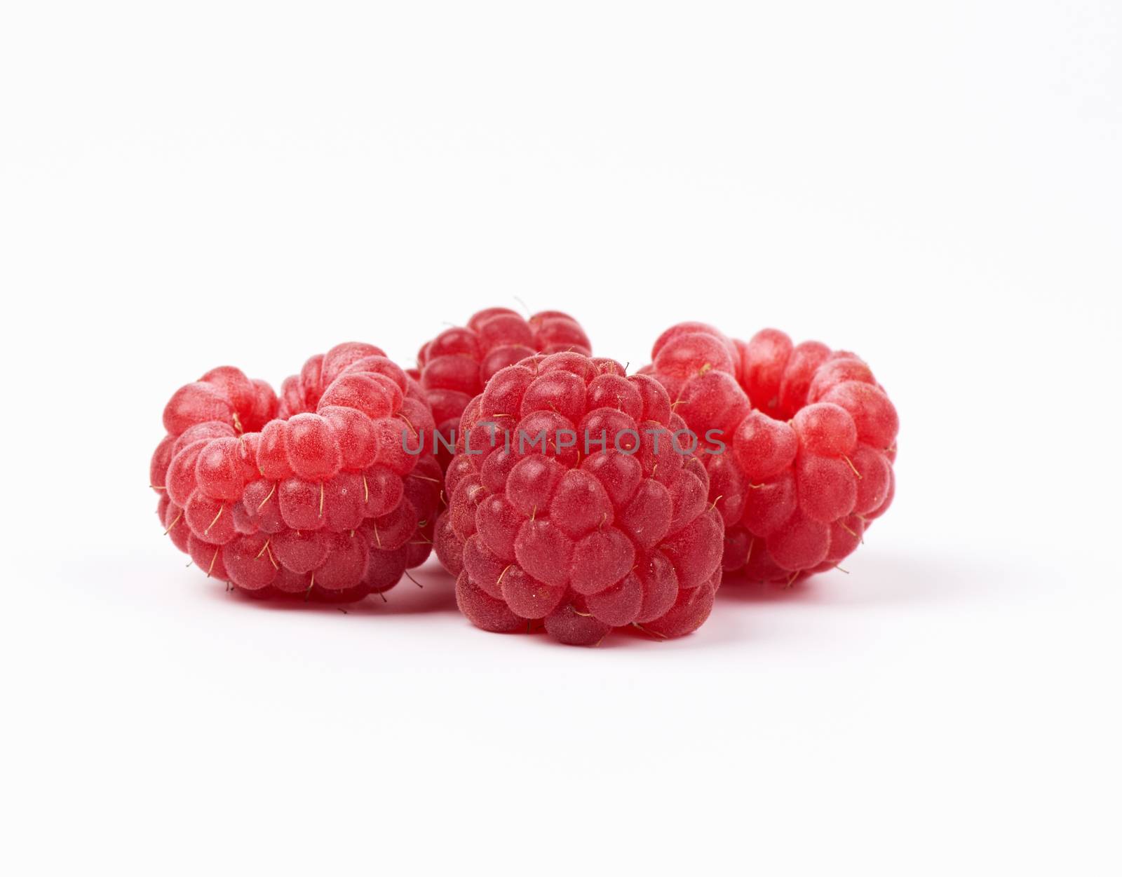 whole ripe red raspberries on a white background by ndanko