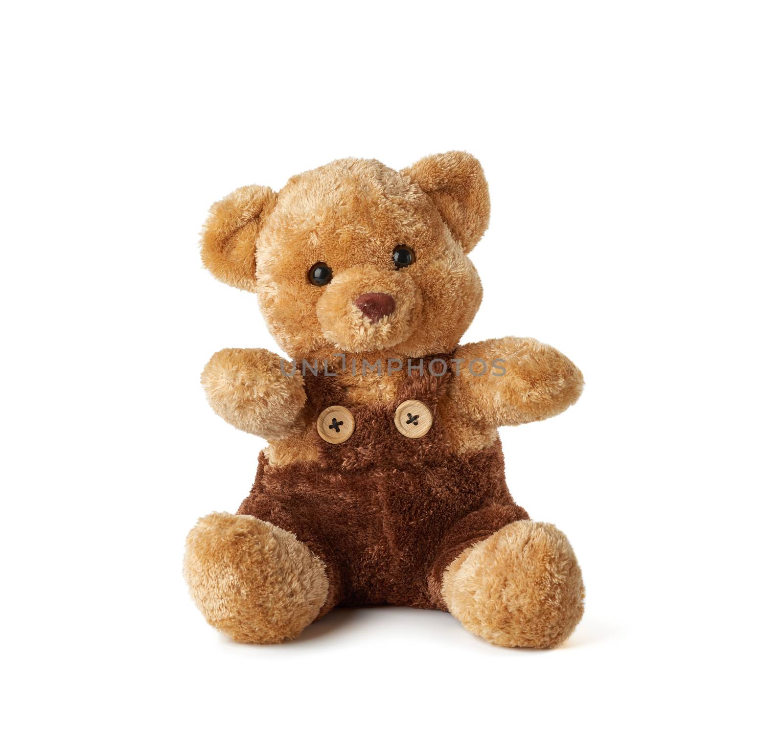 brown teddy bear sitting on a white background, toy is isolated