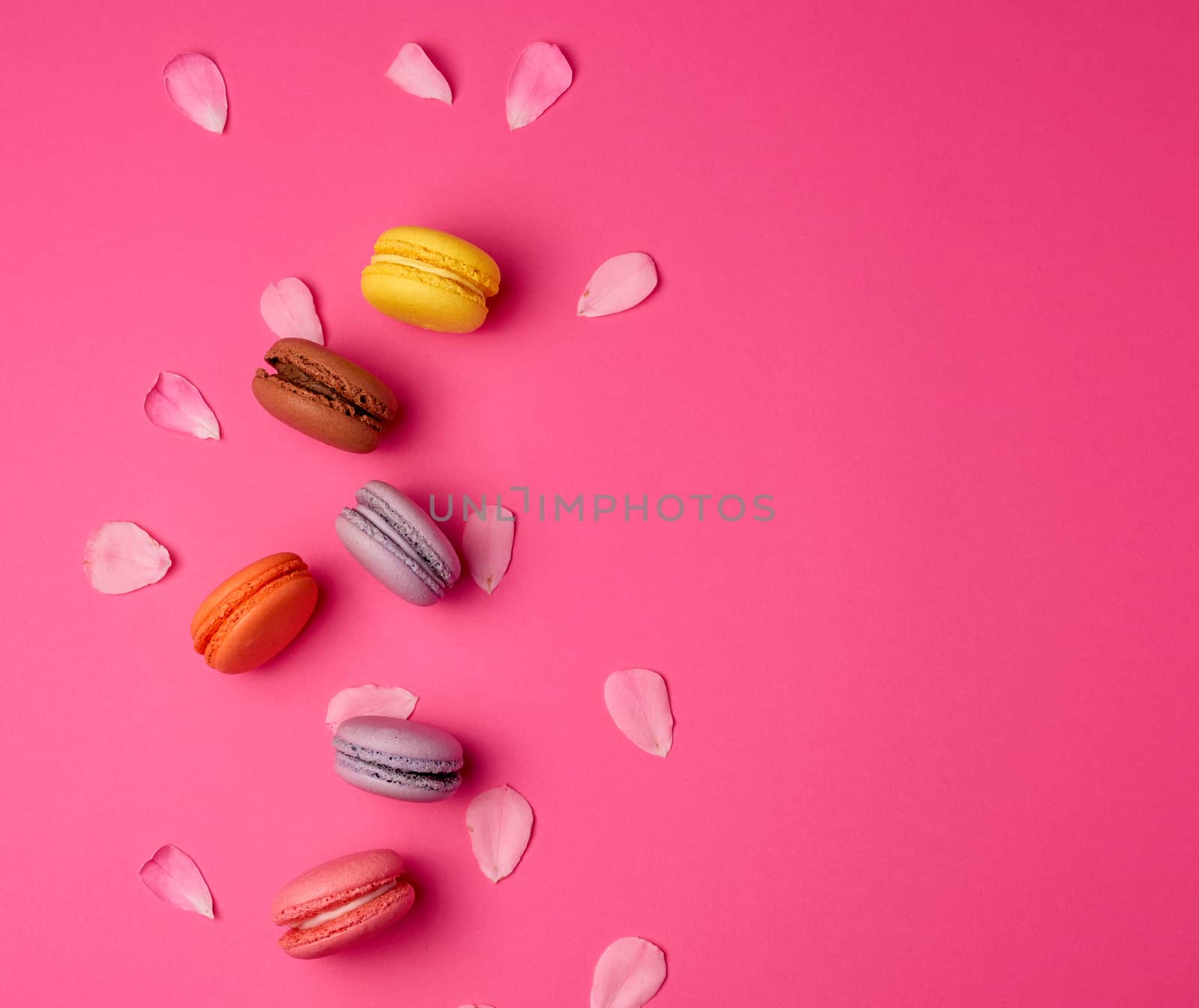 sweet multi-colored macarons with cream and a pink rose bud on a pink background, top view, flat lay