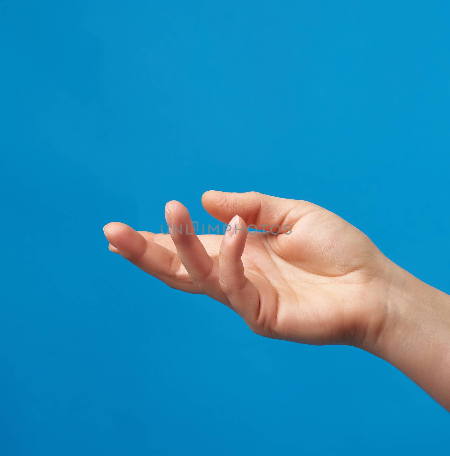 female hand with an open palm on a blue background, imitation of holding an item, a request for help