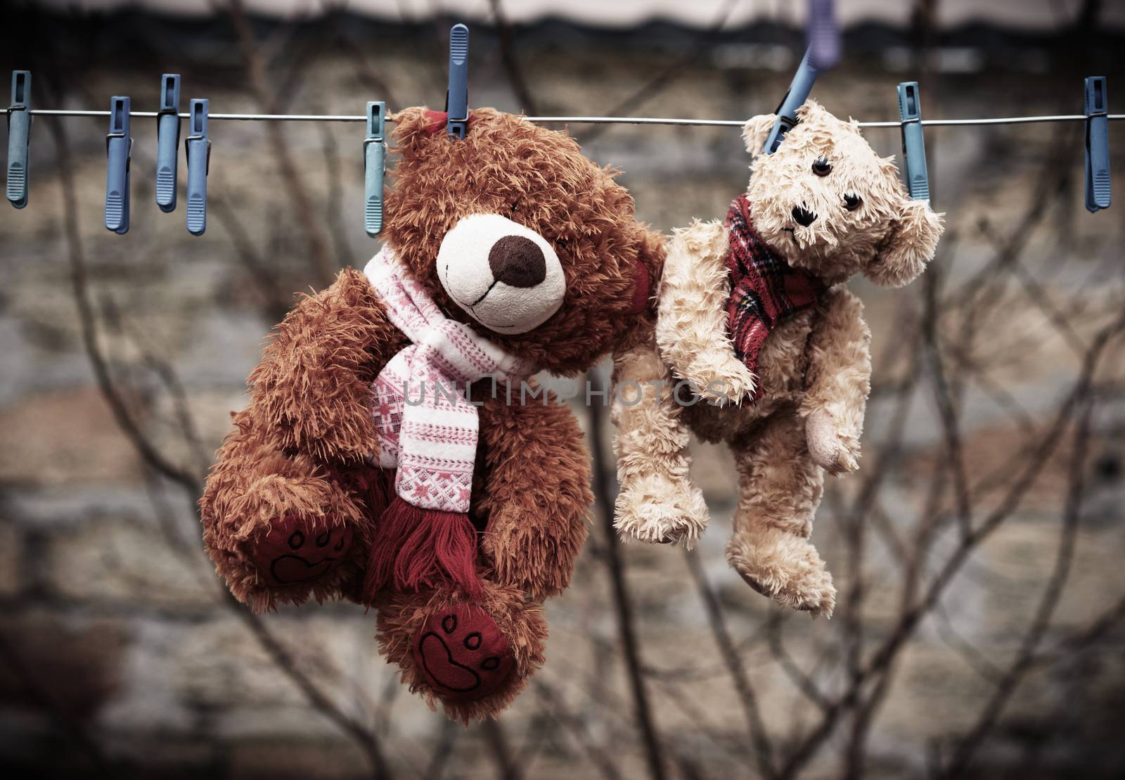 cute brown wet teddy bears hanging on a clothesline and drying in the fresh air, vintage toning