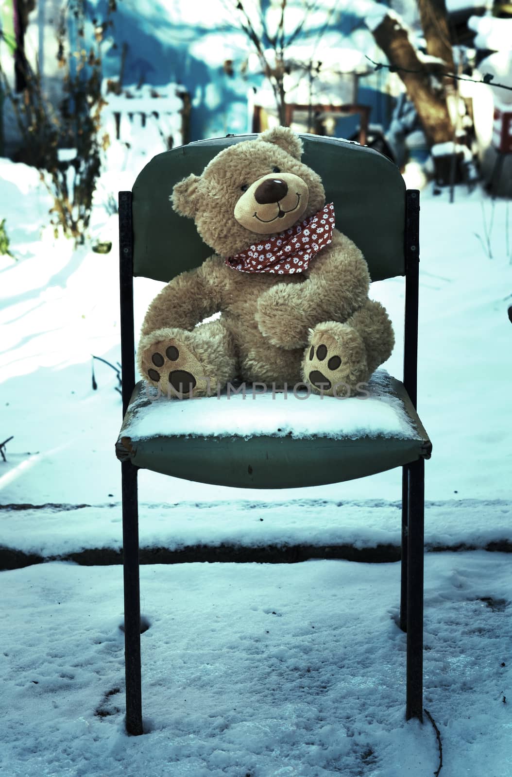 big teddy bear sits on an old chair in the middle of the snow, loneliness concept
