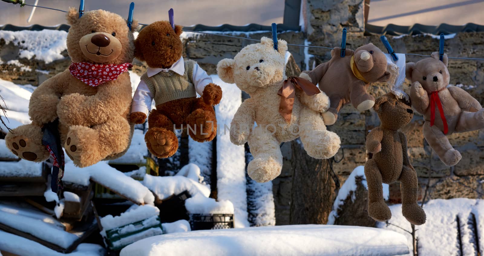cute brown wet teddy bears hanging on a clothesline and drying in the fresh air,outdoor 