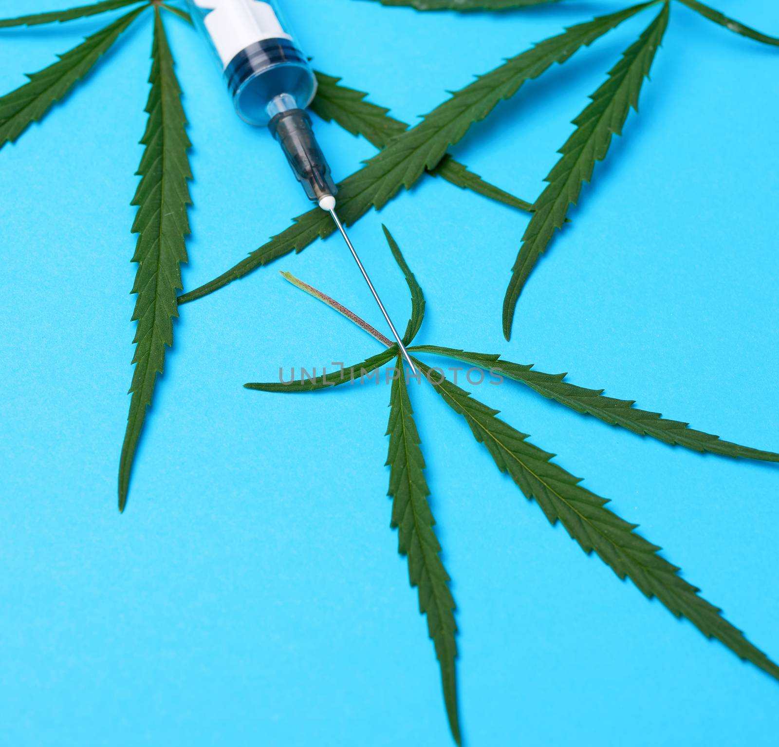 plastic syringe with a needle and green leaves of hemp on a blue background, drug addiction concept
