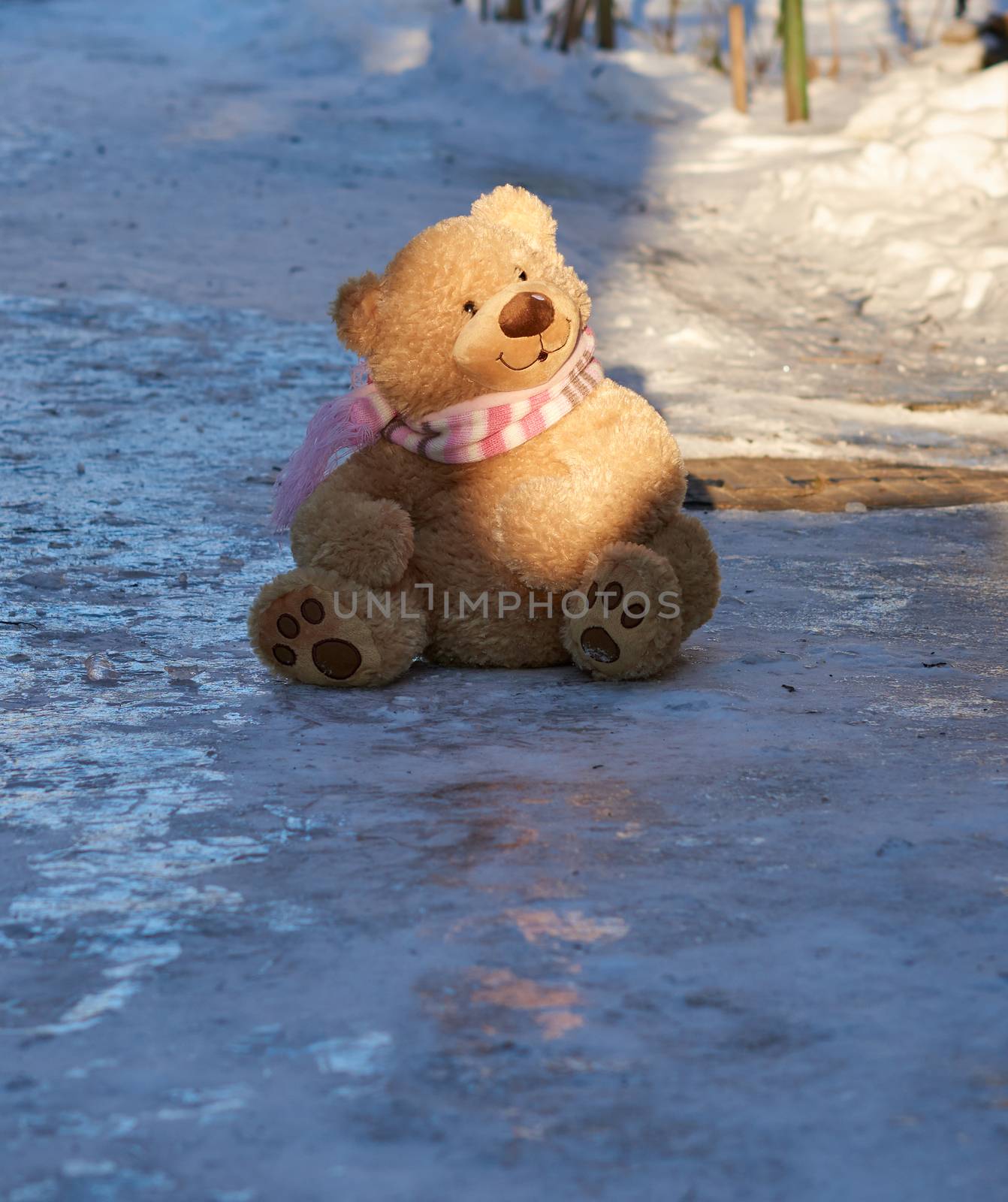 big cute curly teddy bear in a scarf sitting on white snow, loneliness concept