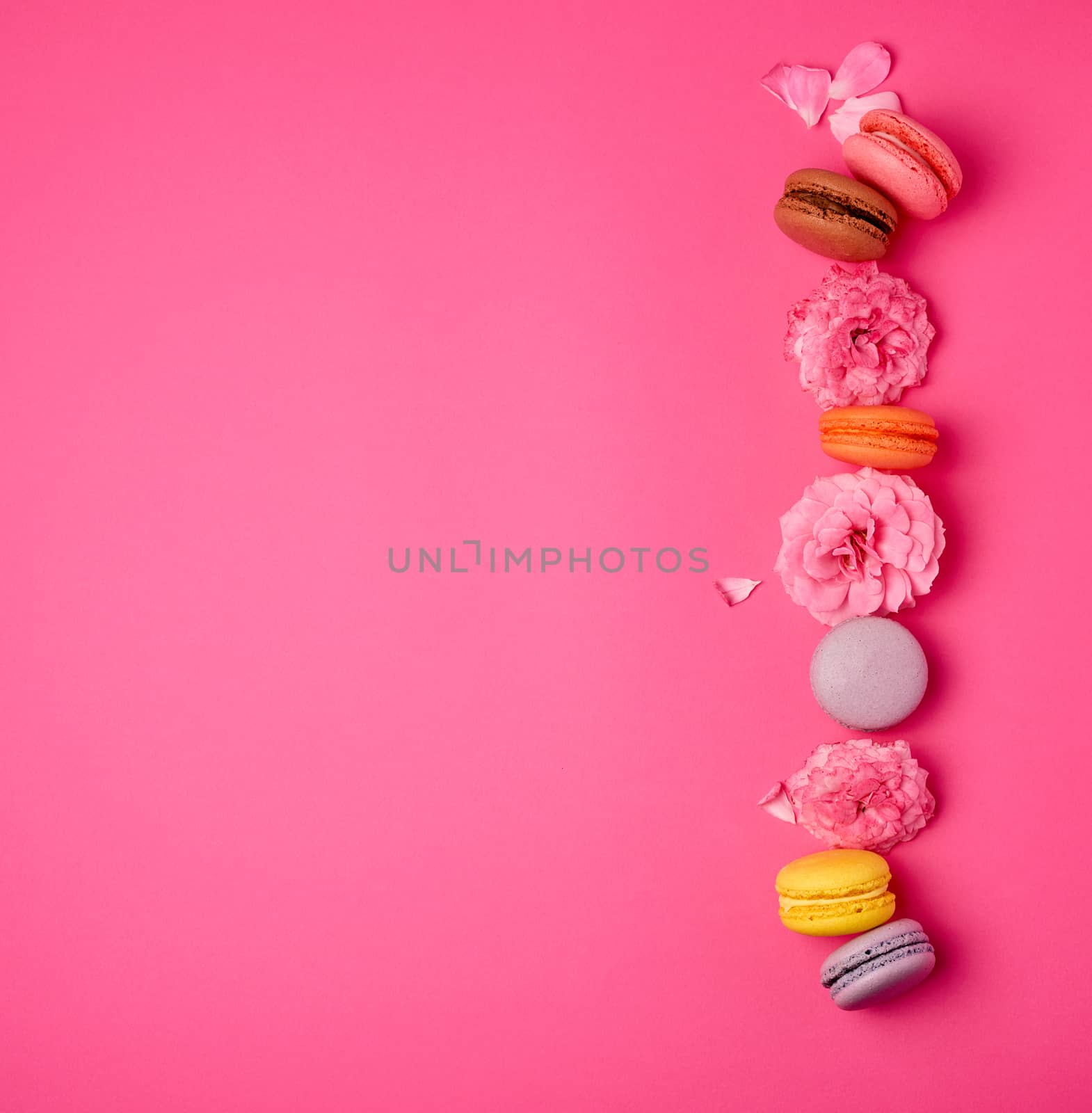 sweet multi-colored macarons with cream and a pink rose bud on a pink background, top view, flat lay, copy space