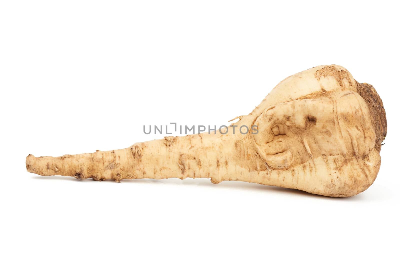 large parsnip root isolated on a white background, healthy and tasty vegetable