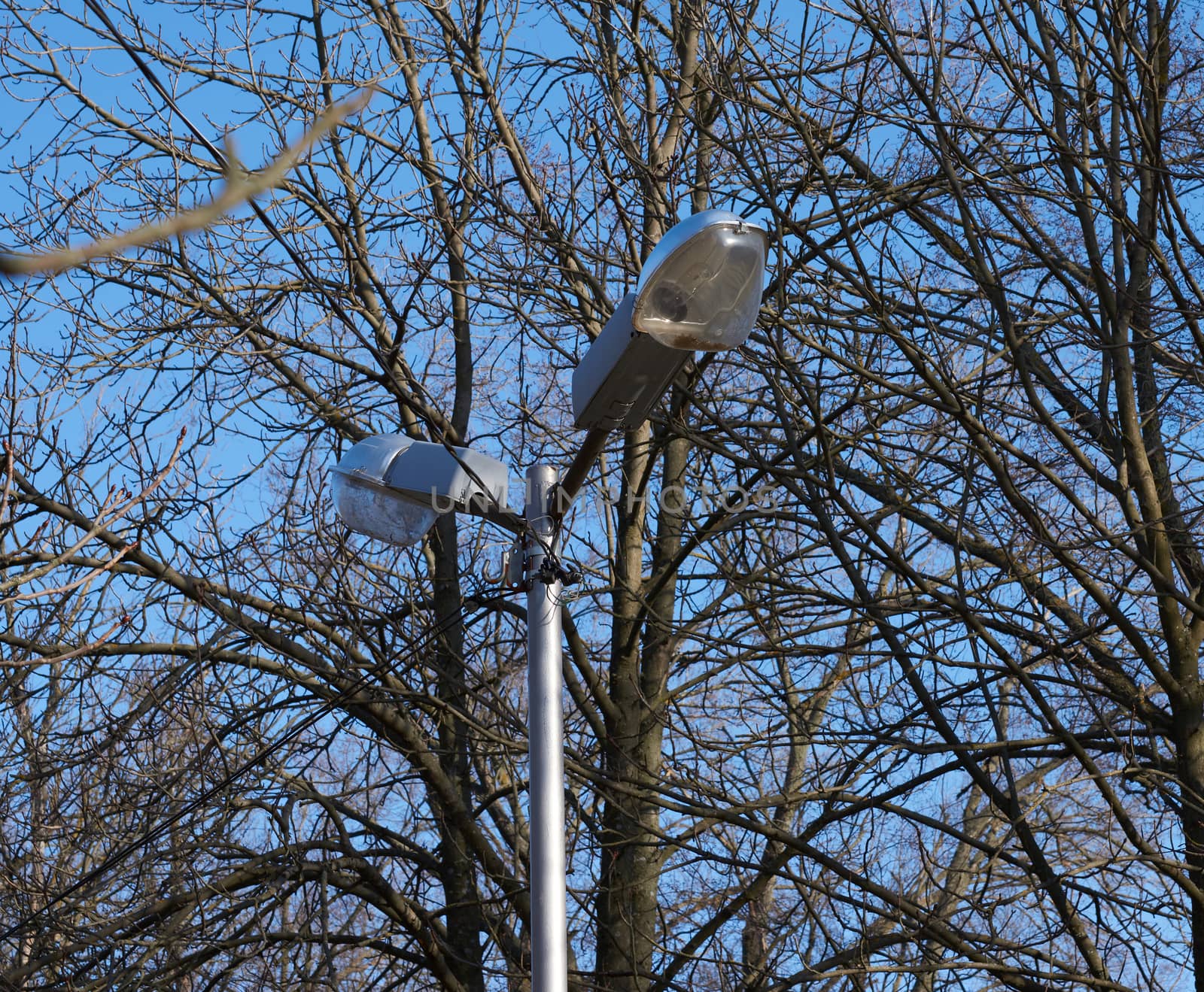 street glass electric lamp in the middle of the park, day