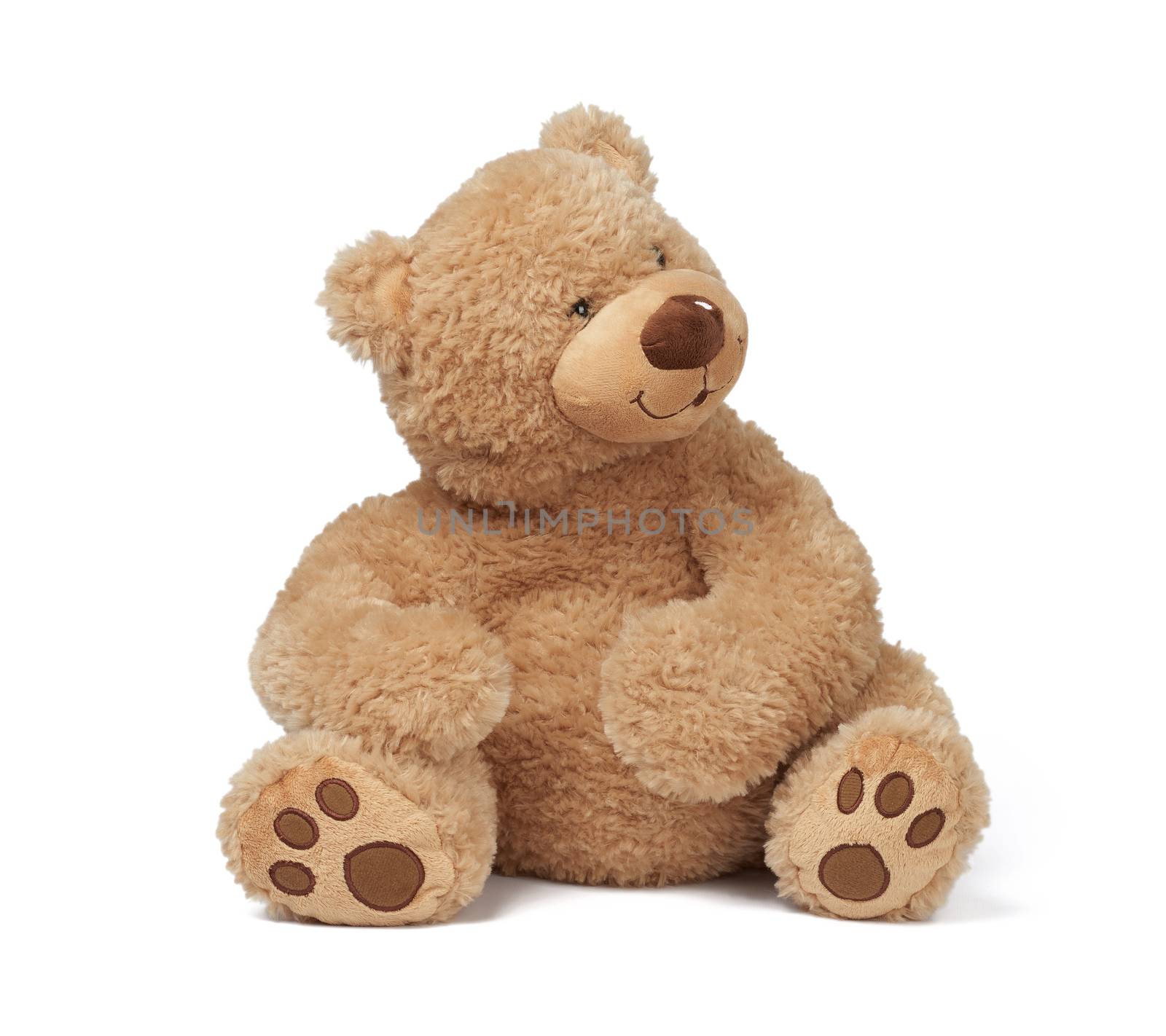 big curly brown teddy bear sits on a white isolated background, funny children`s toy