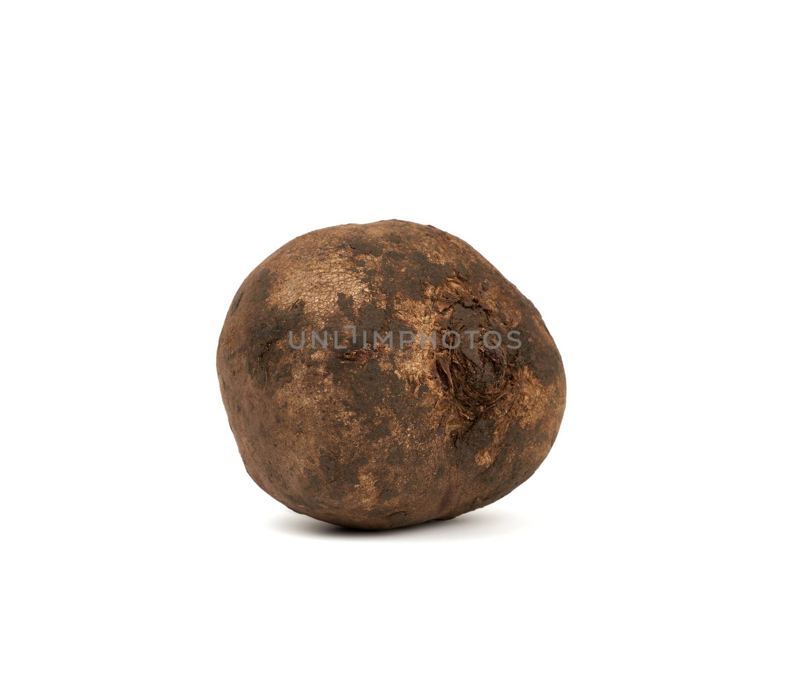 dirty round beets in peel isolated on a white background, close up