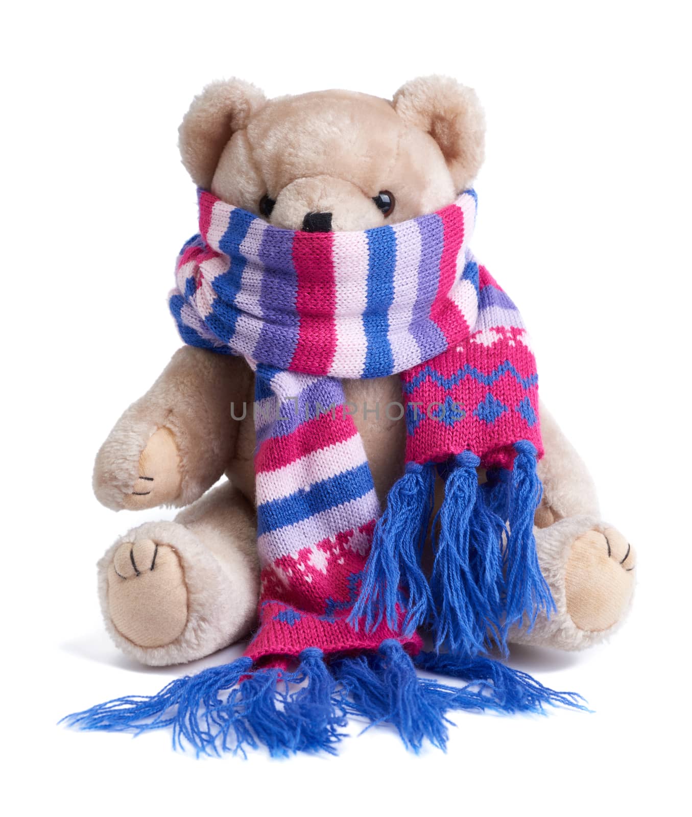 cute brown teddy bear in a colored knitted scarf sitting on a white background, close up