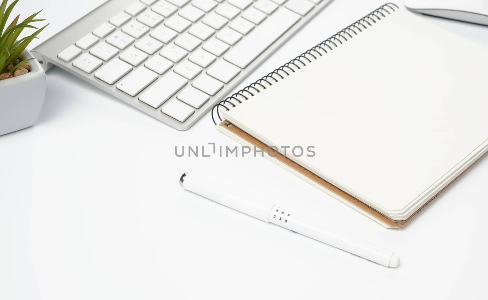 open paper notebooks and pen, computer mouse and green plants in a flowerpot on a white table, freelancer workplace