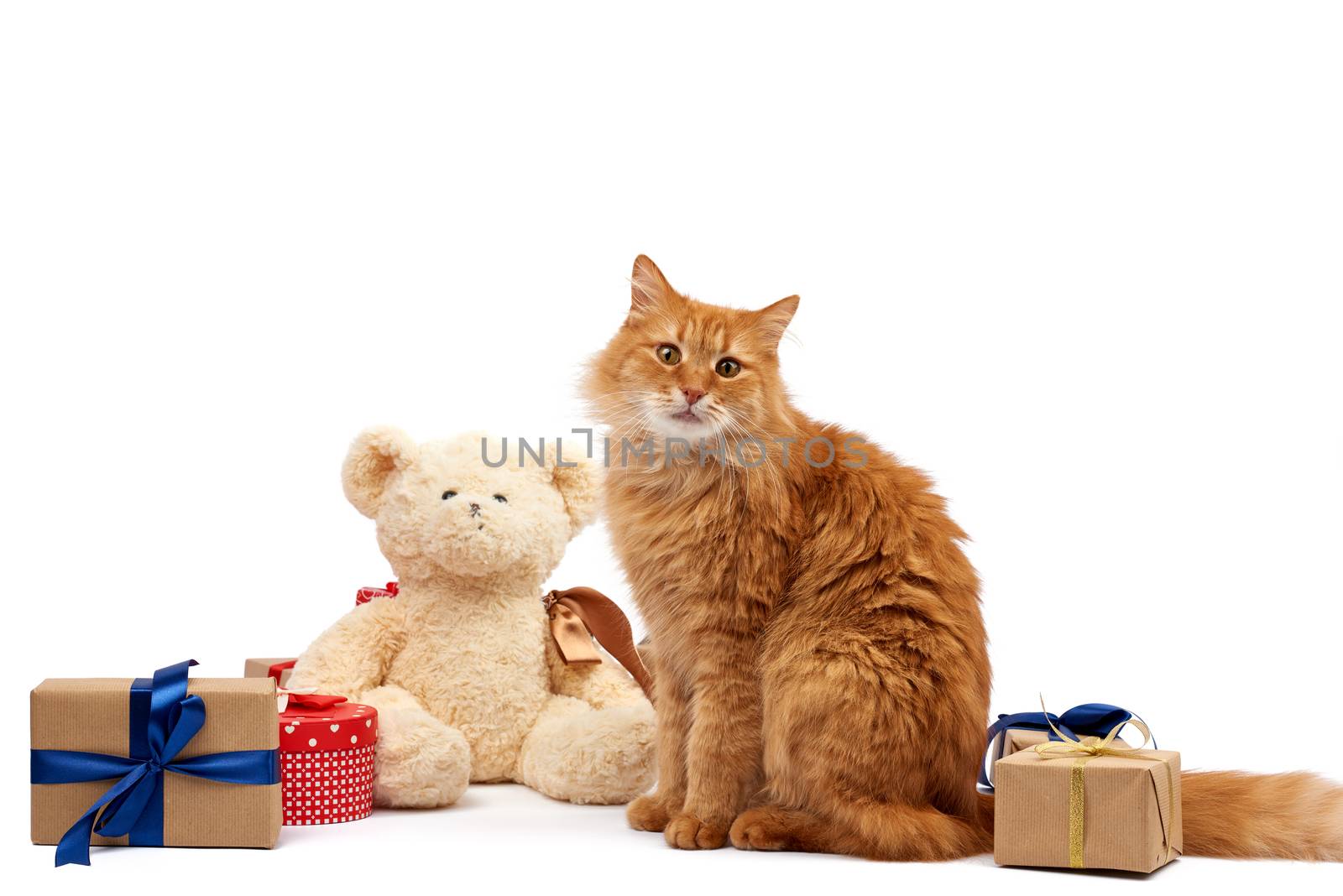 funny adult ginger cat sitting in the middle of boxes wrapped in brown paper and tied with silk ribbon, gifts and an animal on a white background, birthday greeting card, valentines day