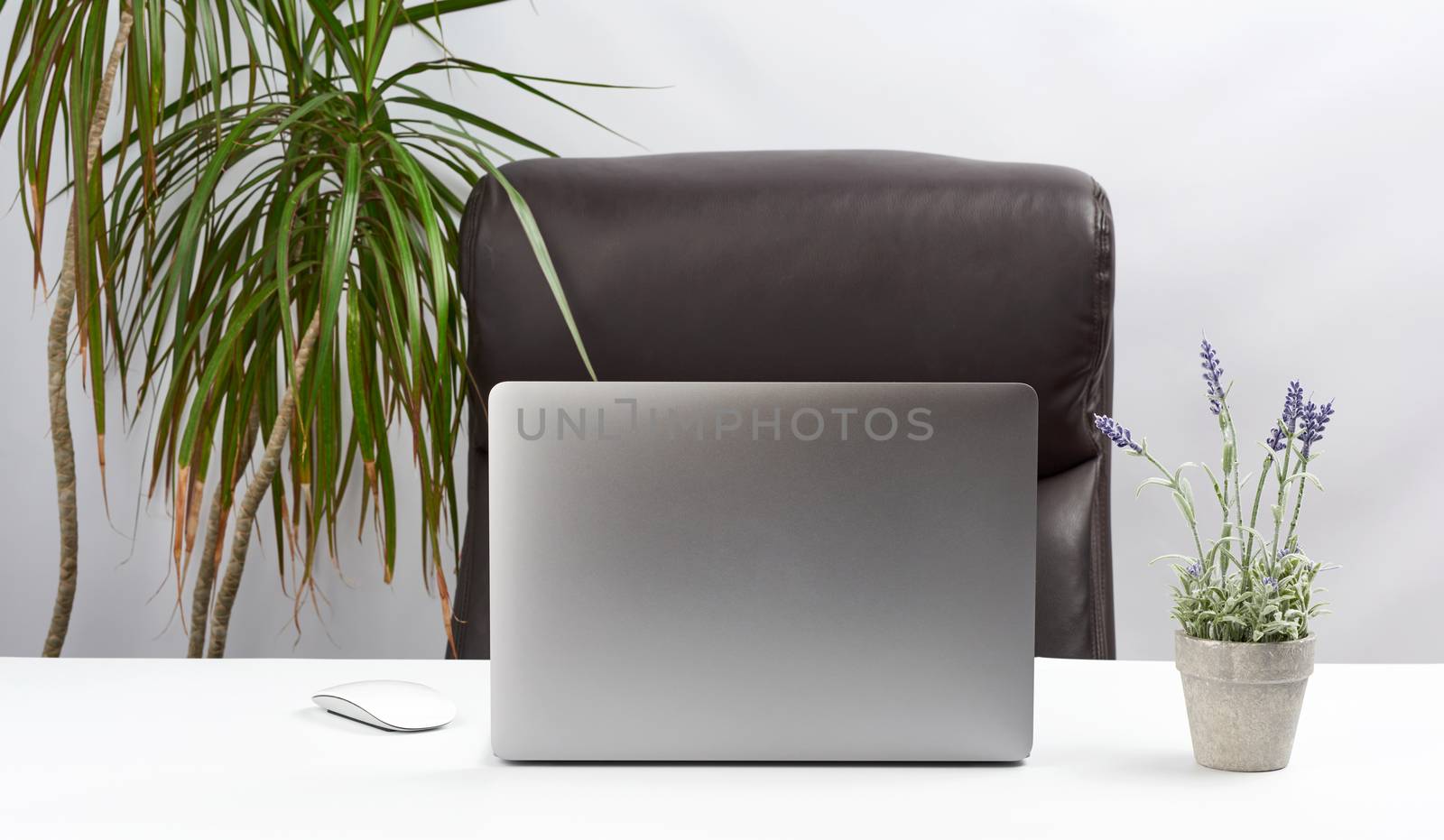 An open gray laptop is standing on a white table, next to a wireless mouse, the workplace of a freelancer, a businessman. near the white wall there is a pot with a large plant