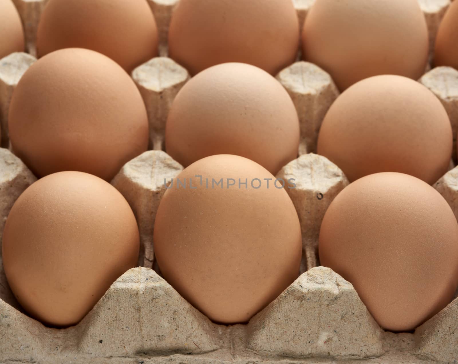 whole round raw brown homemade chicken eggs in a paper tray, selective focus, close up