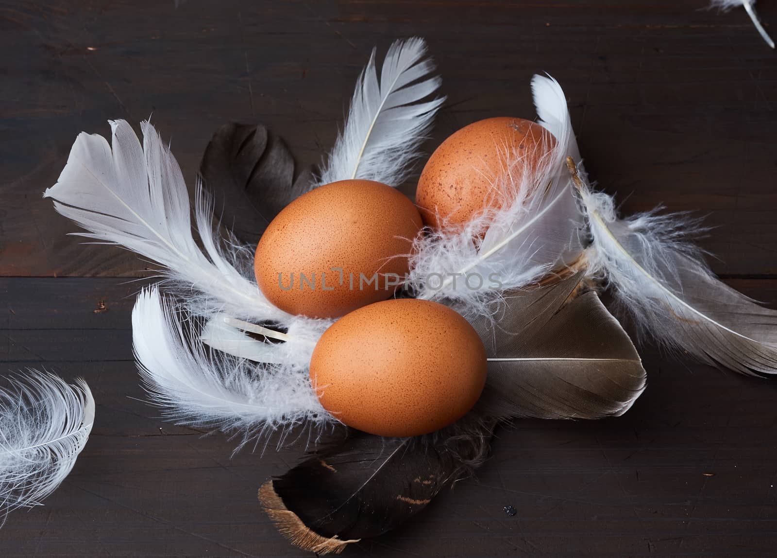 three brown whole chicken eggs in the middle of white feathers on a wooden background, close up