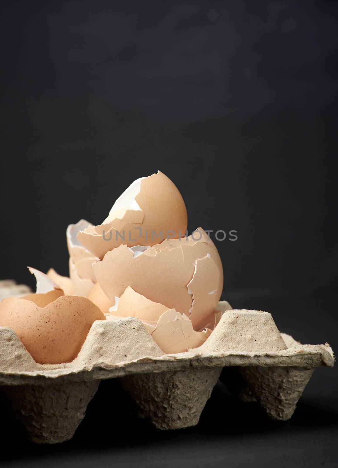 eggshell in paper tray, black background, close up