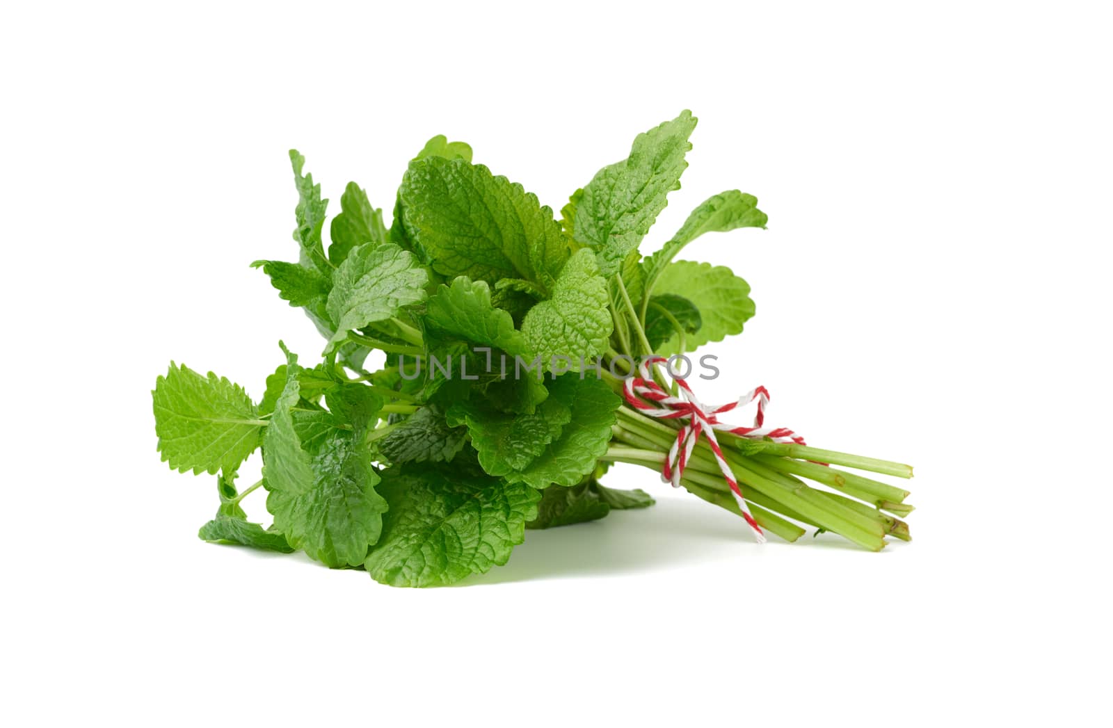 bunch of green fresh mint tied with a rope, flavorful seasoning for food and cocktails isolated on a white background