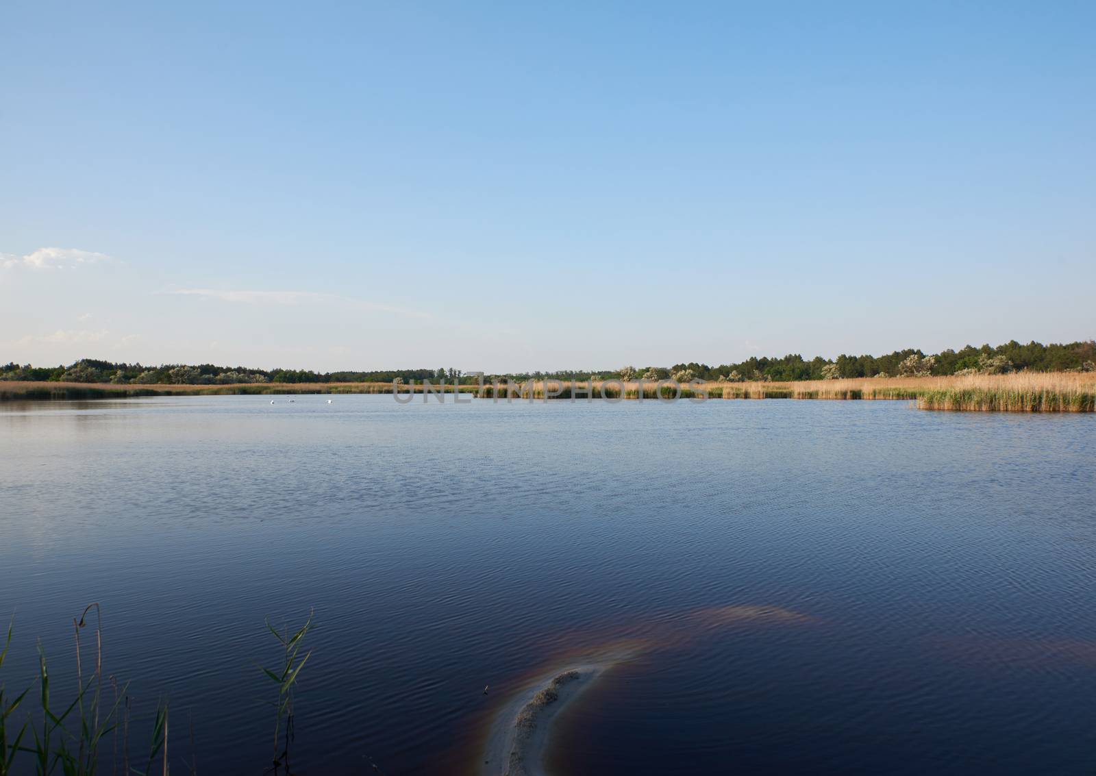 therapeutic lake with iodine and minerals in the middle of the wild steppe, Lake Blue, Ukraine, city of Kherson