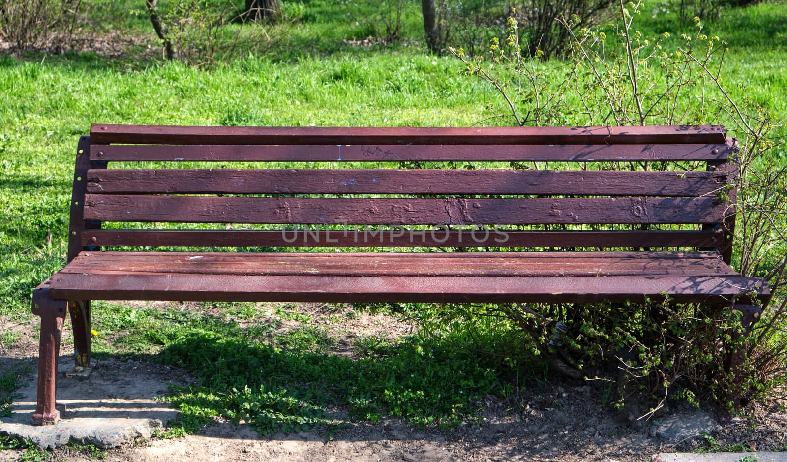 empty brown wooden park bench in spring afternoon