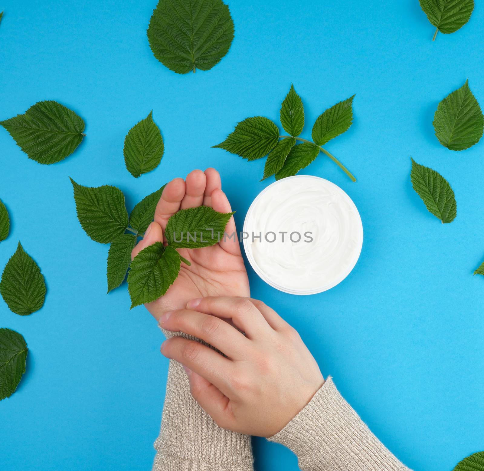 female hands of a young girl with smooth skin and round jar of cream, blue background with green raspberry leaves, concept of spa treatments for skin