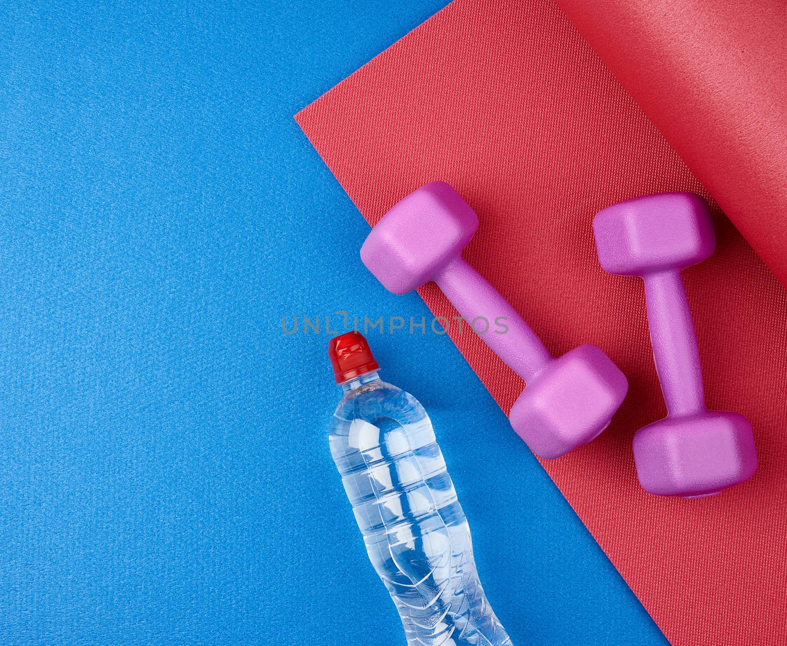 transparent plastic bottle of water and a pair of purple plastic dumbbells for sports and fitness on a blue mat, top view
