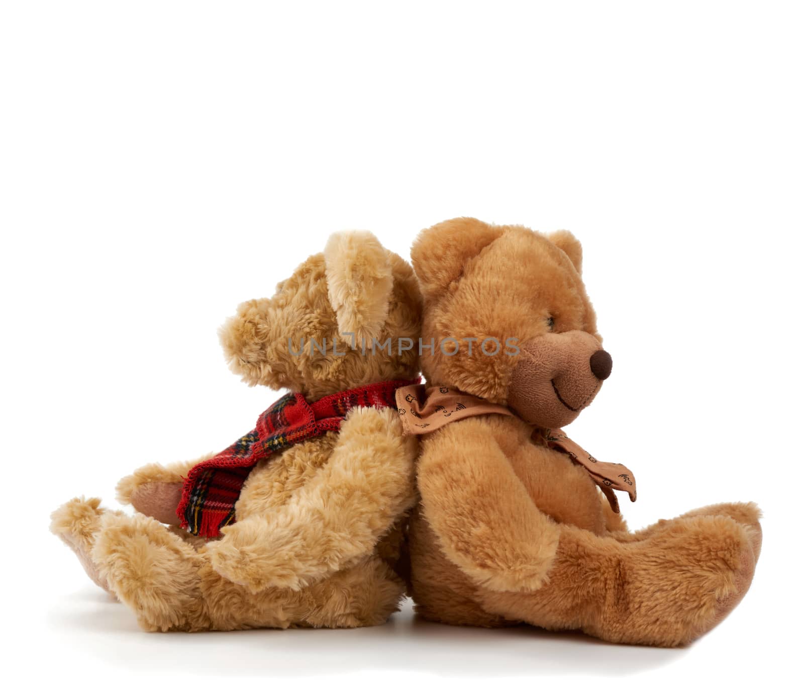 two cute curly brown teddy bears sit back to back, concept of support and friendship, toys isolated on white background