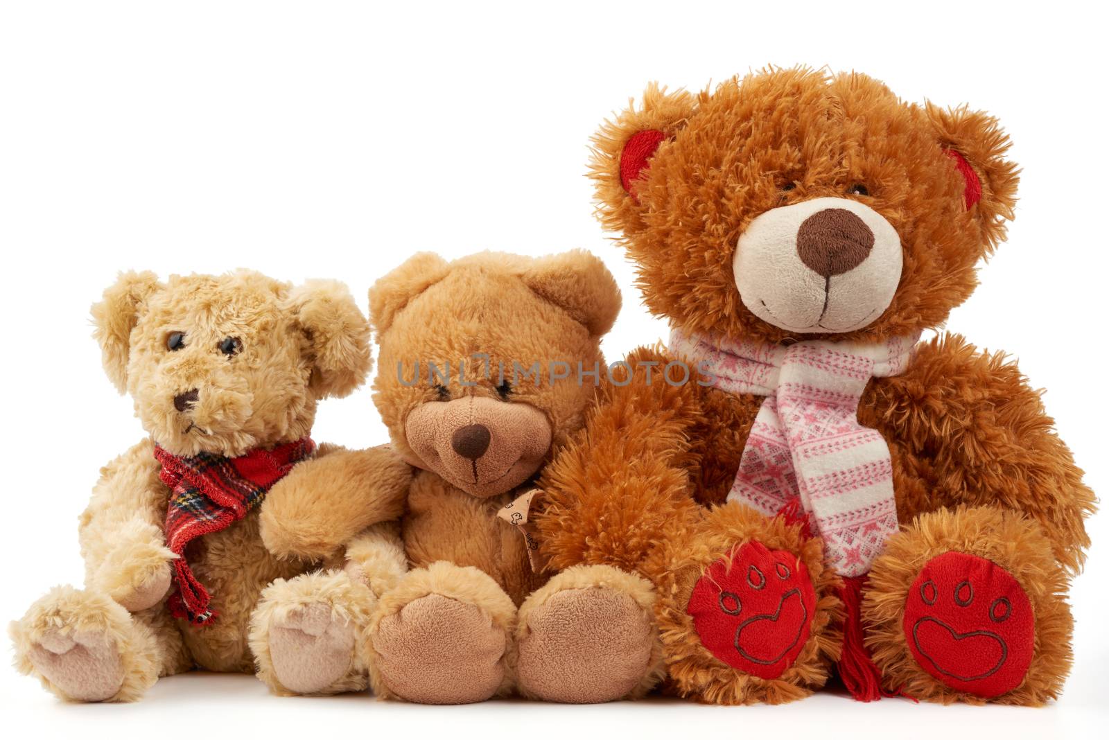 cute curly brown teddy bears, concept of support and friendship, toys isolated on white background