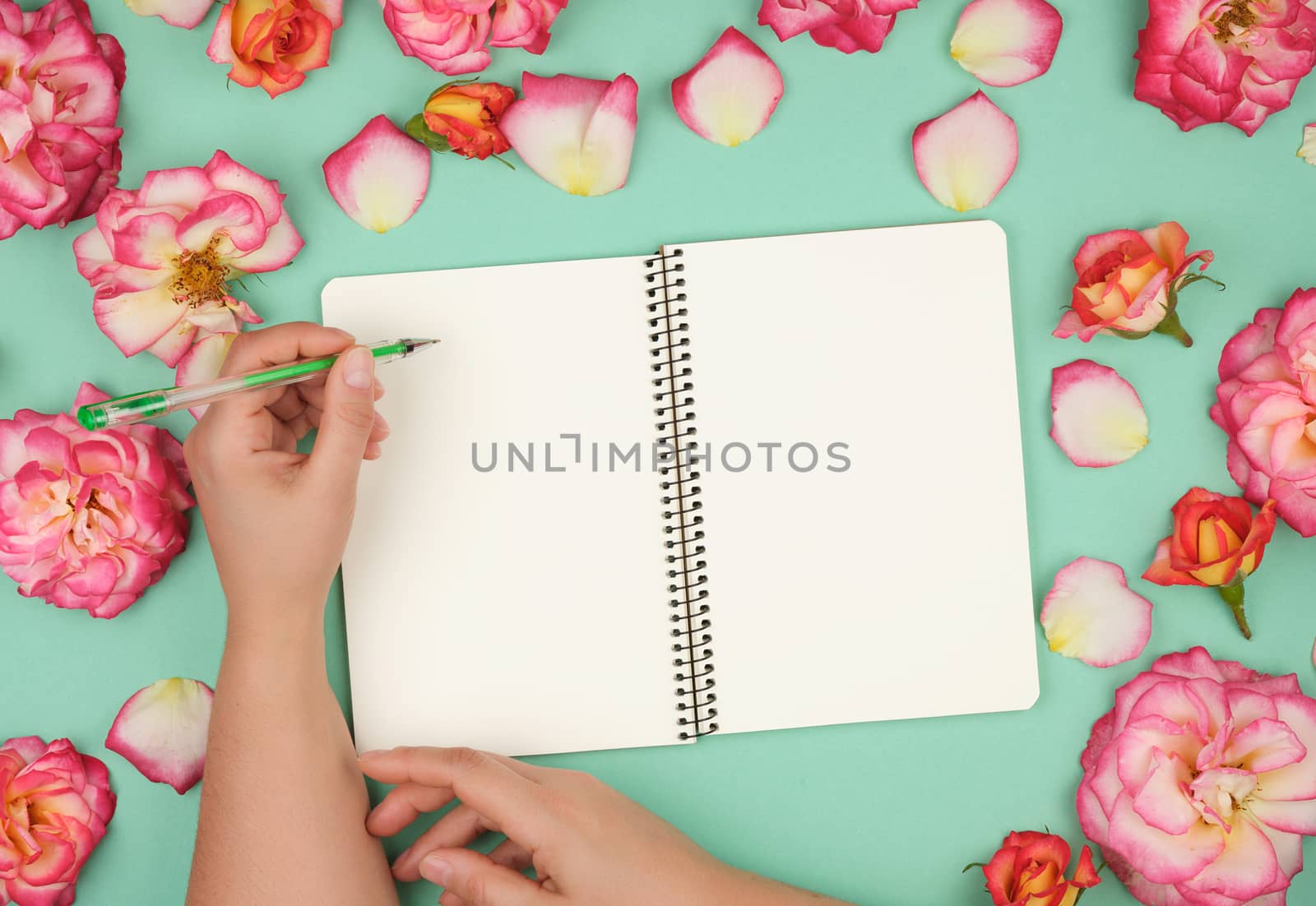 left female hand holds a green pen over empty white sheet of paper, next to a bouquet of blooming pink roses, top view