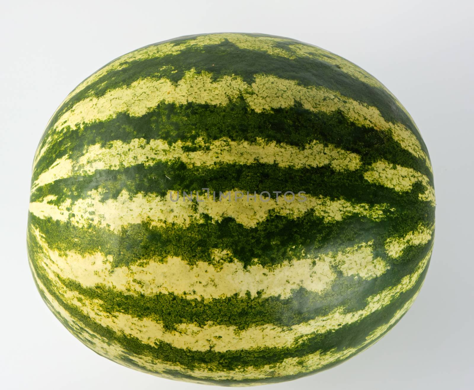 big green striped whole watermelon on a white background, summer berry