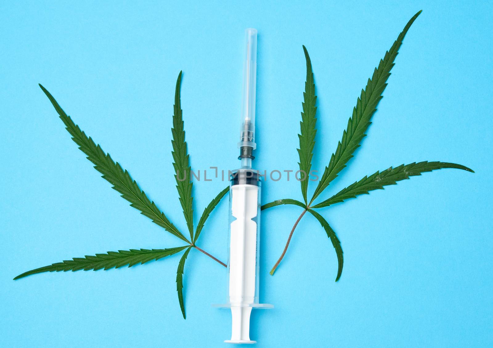 plastic syringe with a needle and green leaves of hemp on a blue background, drug addiction concept