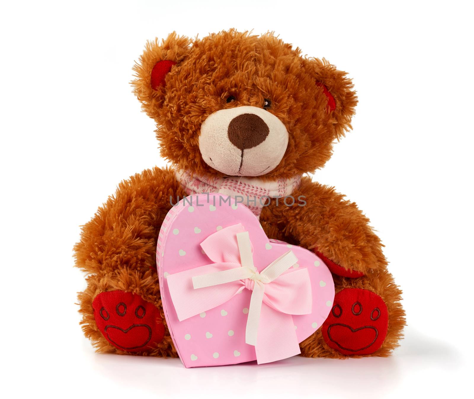 brown curly teddy bear sits and holds a pink cardboard box with a gift, toy isolated on white background
