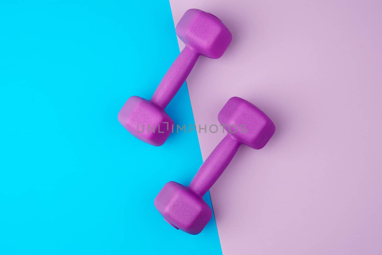 pair of purple plastic dumbbells on a blue-violet background, backdrop for sports