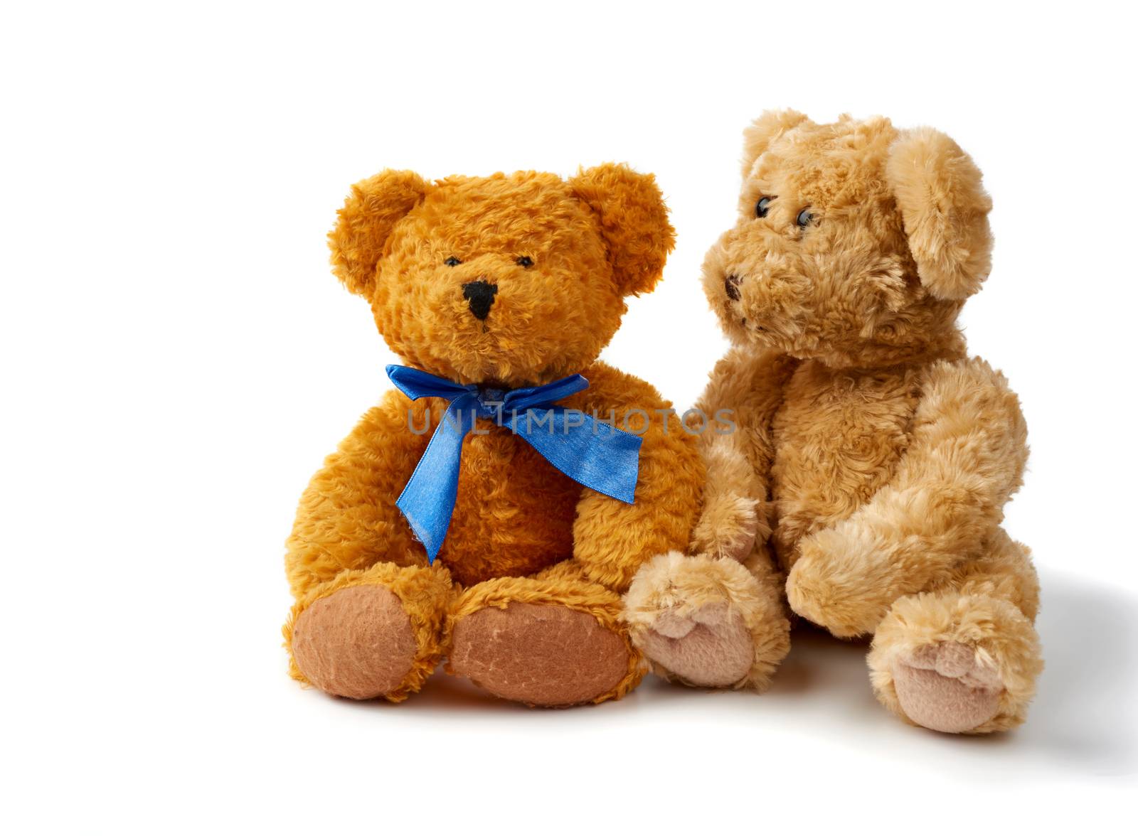 two brown curly teddy bears sit on a white background, toys are isolated on a white background