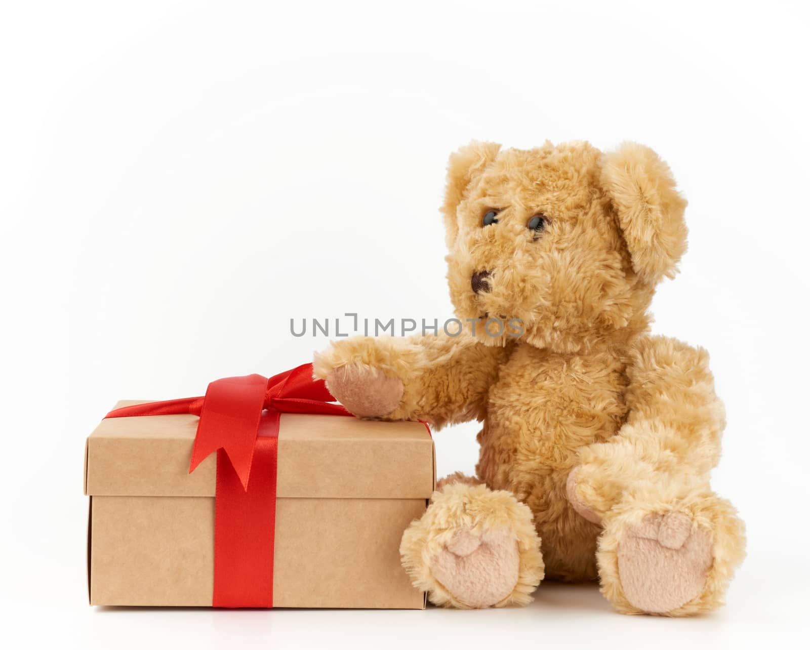 cute little brown teddy bear holds a brown box with a red ribbon on a white background