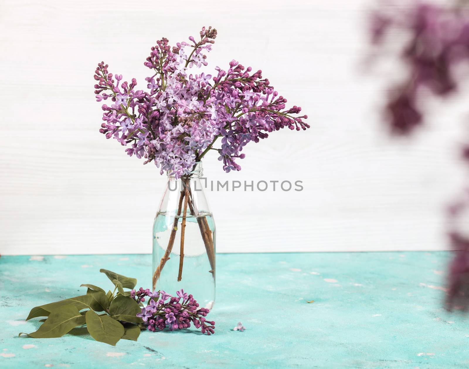 minimal composition, bouquet of lilac blossoms in glass bottle on light background. floral spring texture