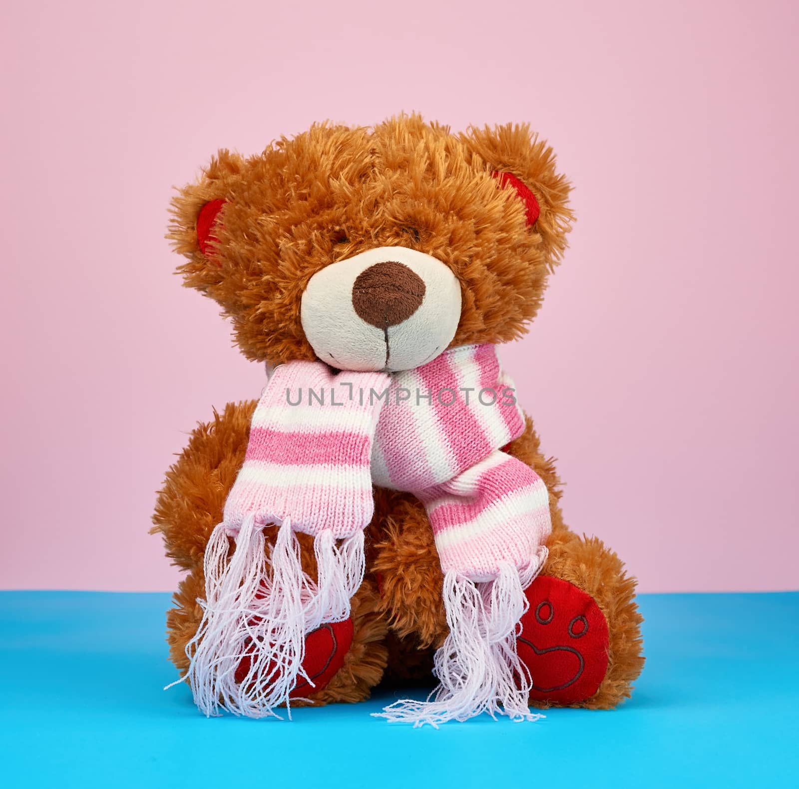 cute brown teddy bear in a colored knitted scarf sitting on a blue-pink background, close up