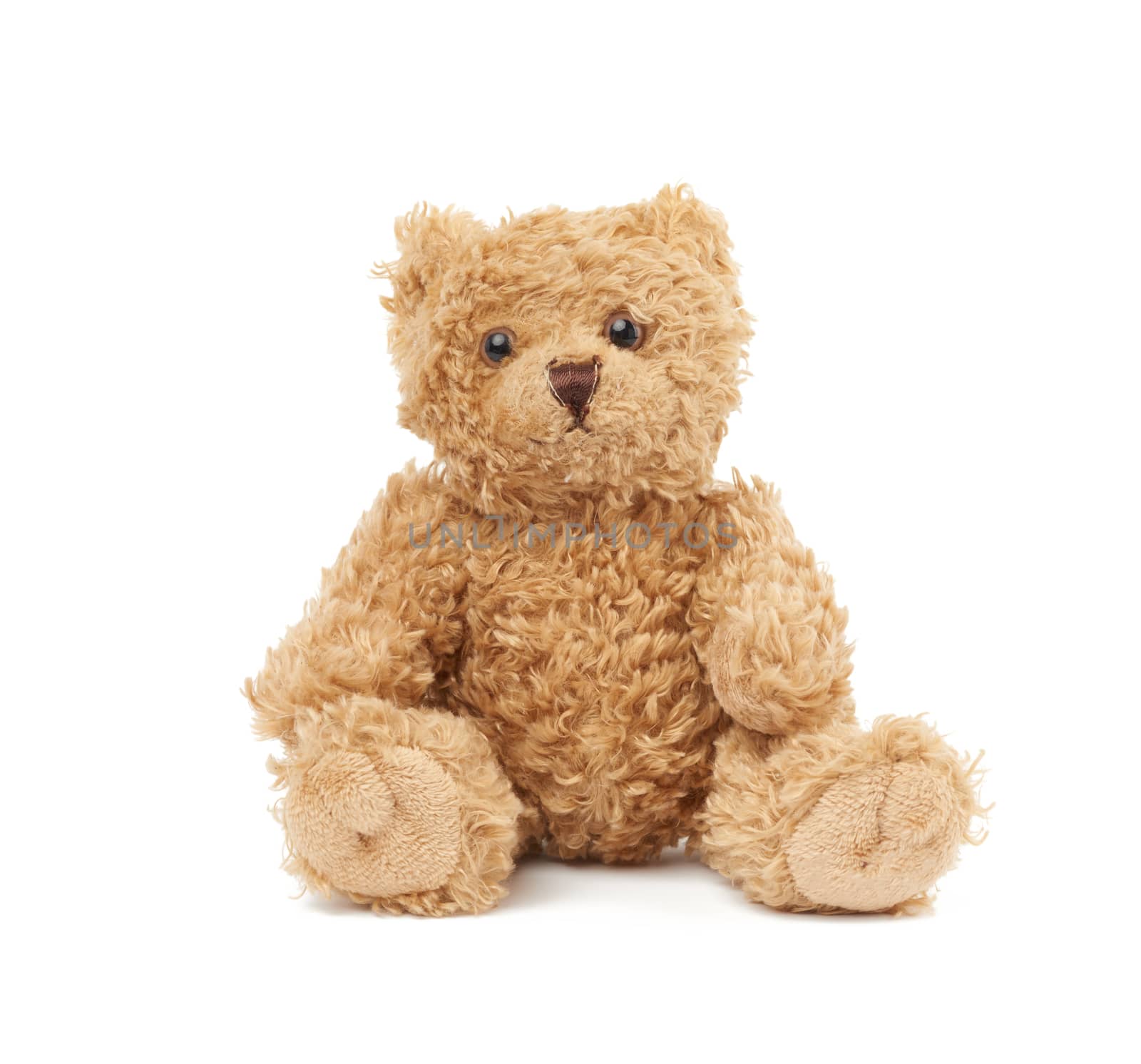 cute little brown teddy bear, toy is sitting on a white background, close up