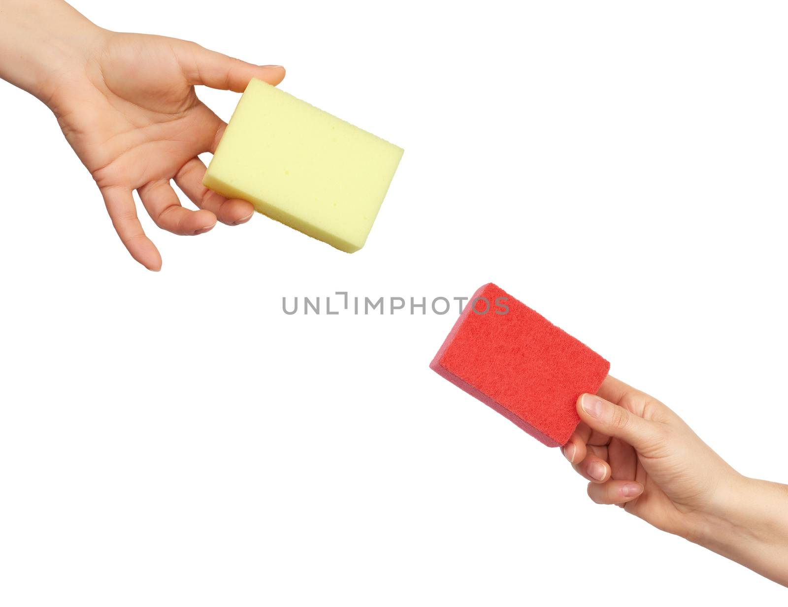 female hand holds a kitchen sponge for washing dishes, part of the body is isolated on a white background and reach for each other