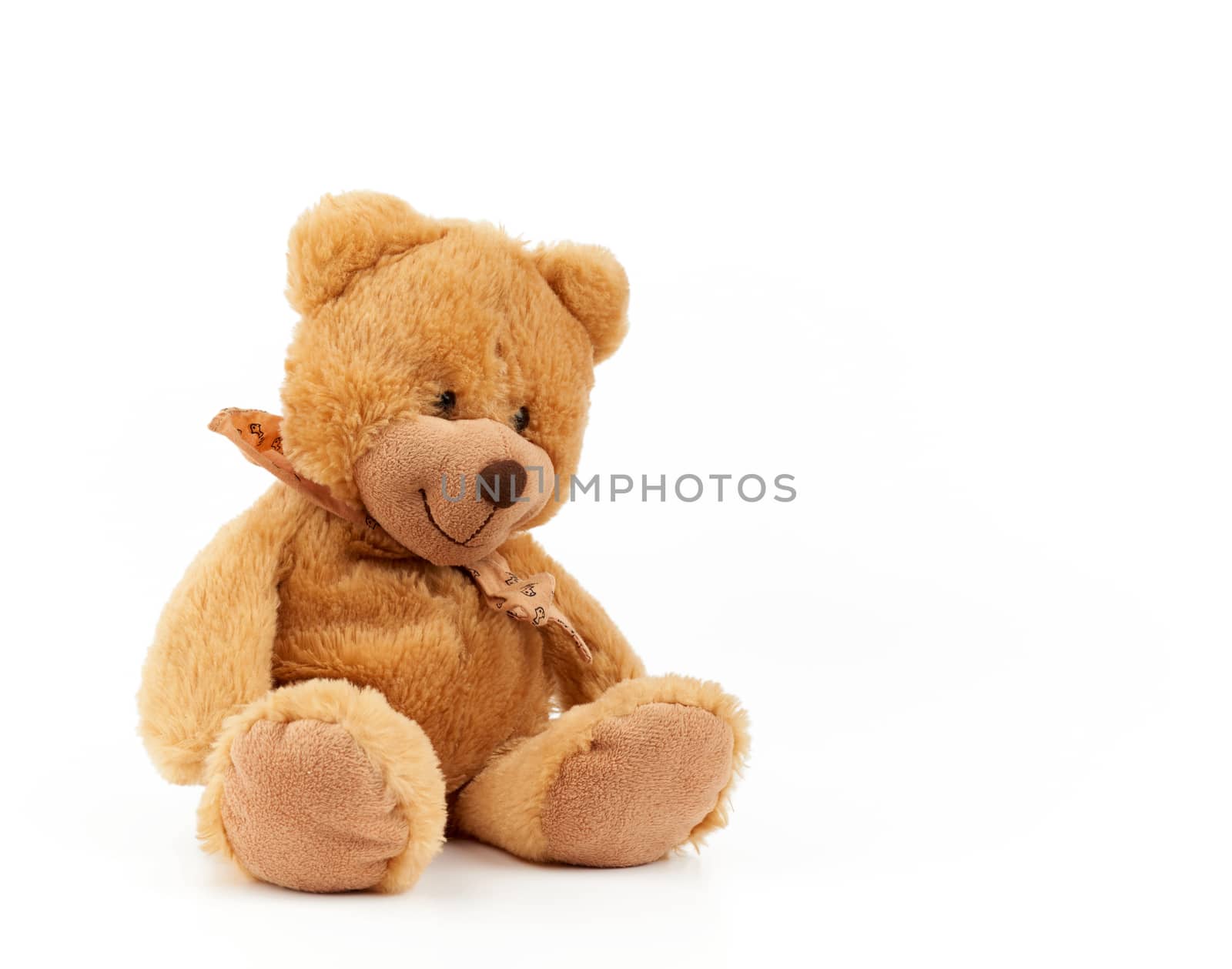cute light brown fluffy teddy bear with a tie on his neck sitting on a white isolated background, toy for children, copy space