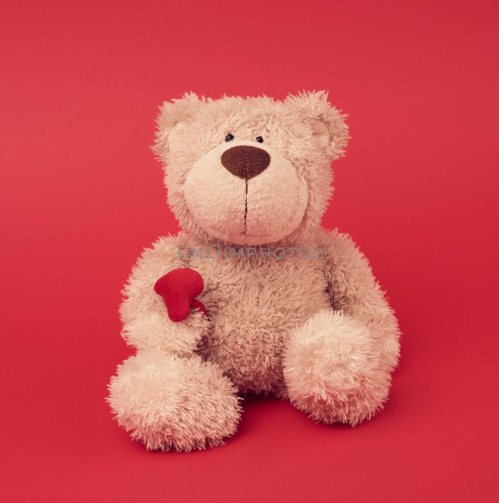  little brown teddy bear, toy is sitting on a red background, close up